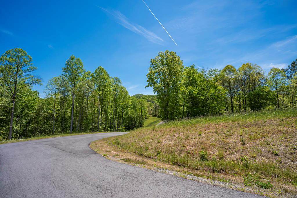 Lot 4-4A Waterstone Way - Photo 1