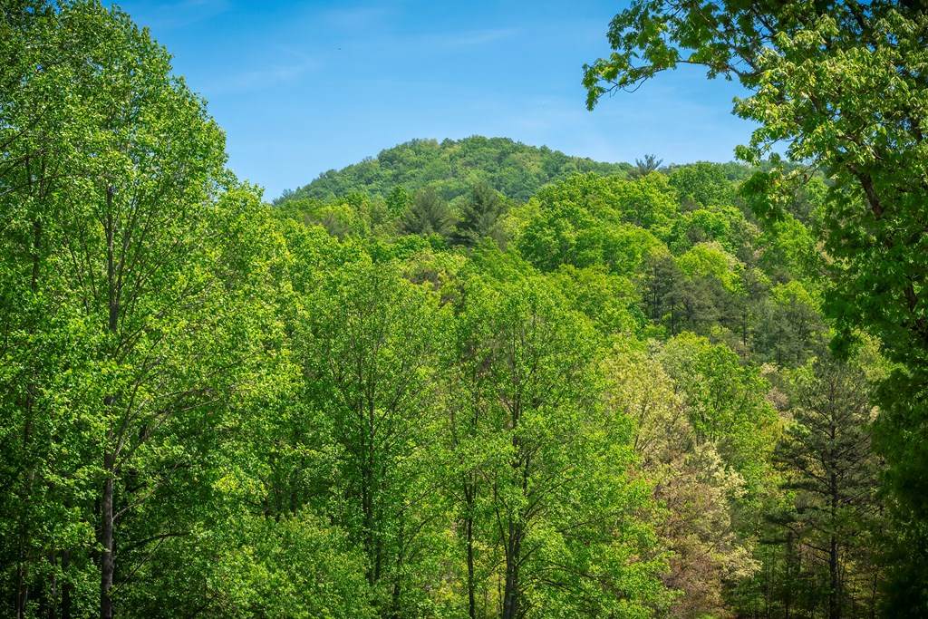 https://bt-photos.global.ssl.fastly.net/negeorgia/orig_boomver_1_434184-2.jpg