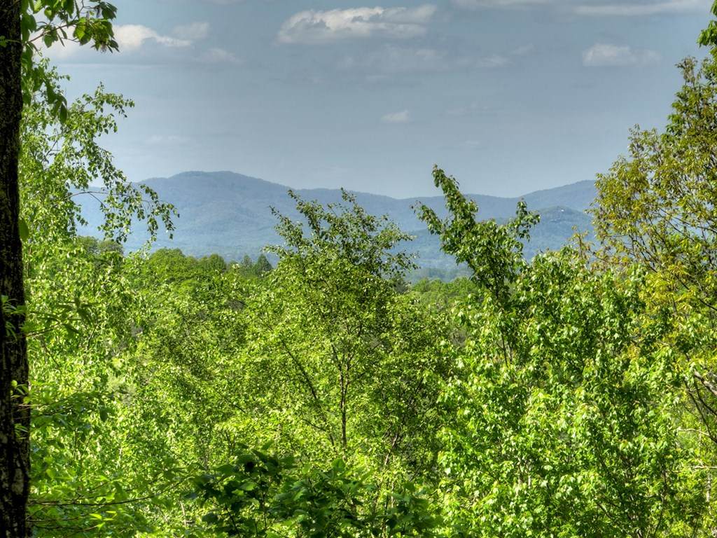 https://bt-photos.global.ssl.fastly.net/negeorgia/orig_boomver_1_434195-2.jpg
