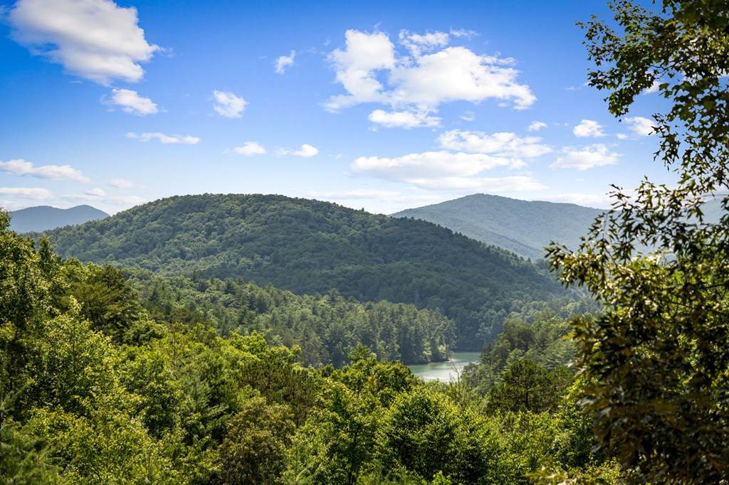 https://bt-photos.global.ssl.fastly.net/negeorgia/orig_boomver_1_434208-2.jpg