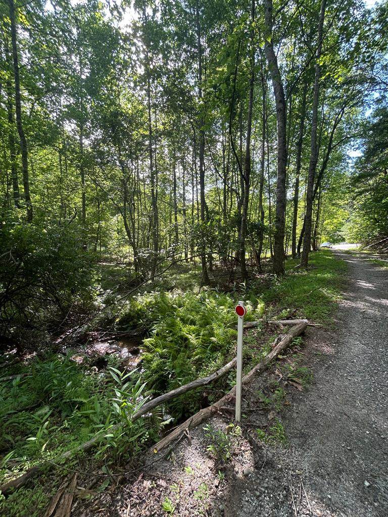 0 East Two Pond Lane - Photo 1