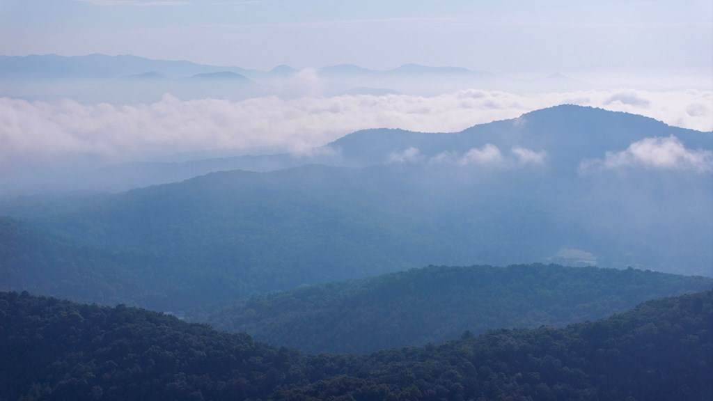 https://bt-photos.global.ssl.fastly.net/negeorgia/orig_boomver_1_434224-2.jpg