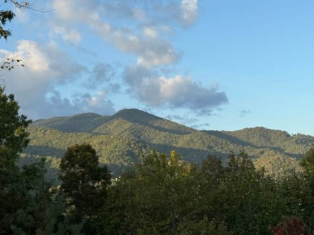https://bt-photos.global.ssl.fastly.net/negeorgia/orig_boomver_1_434504-2.jpg