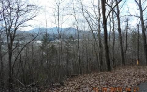L 5&6 Mountain Dr - Photo 1