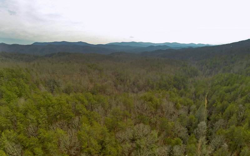 Maxwell Rd. - Photo 1