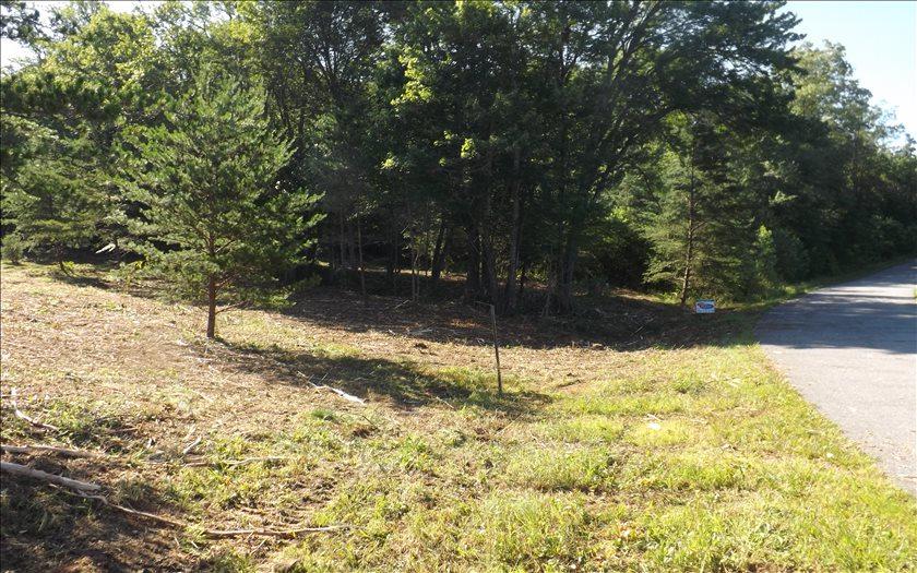 28 Langford Lane - Photo 1