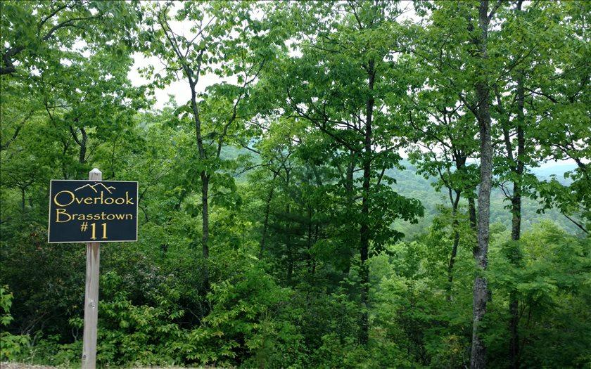 LT 11 Overlook Brasstown - Photo 1