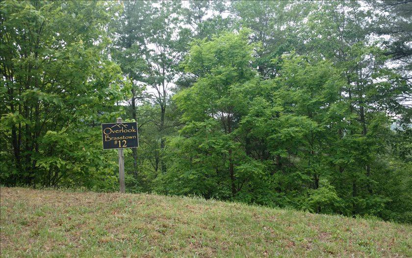 LT 12 Overlook Brasstown - Photo 1