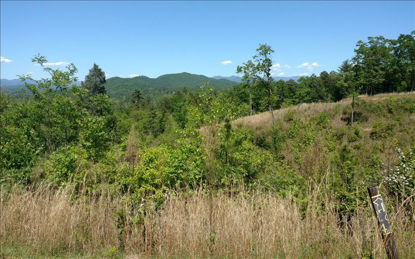 LT 41 Point Overlook Trail - Photo 1