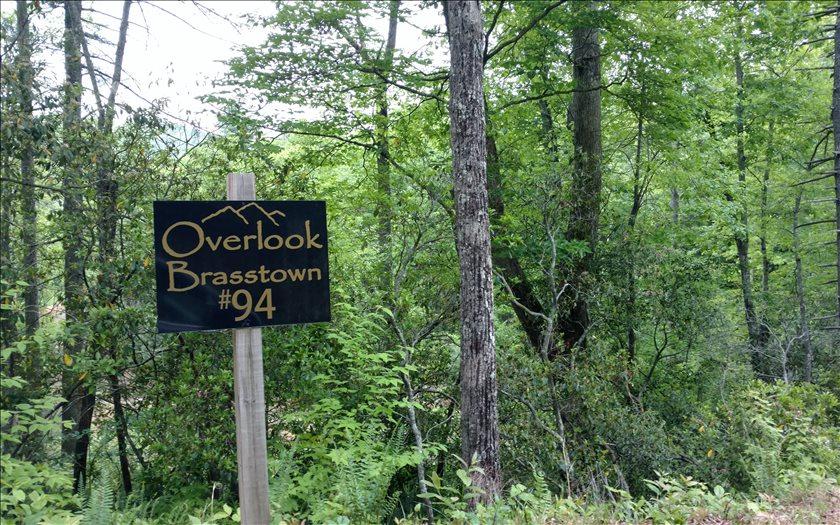 LT 94 Overlook Brasstown - Photo 1