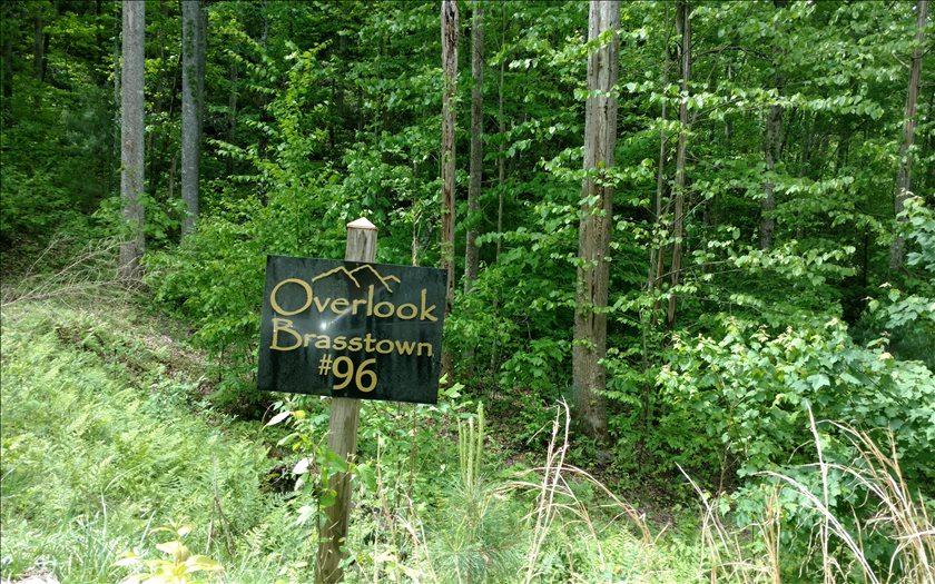 LT 96 Overlook Brasstown - Photo 1