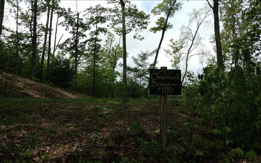 L 100 Overlook Brasstown - Photo 1