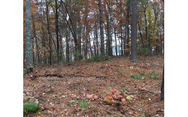 Loftis Mt. Lot 43 - Photo 1