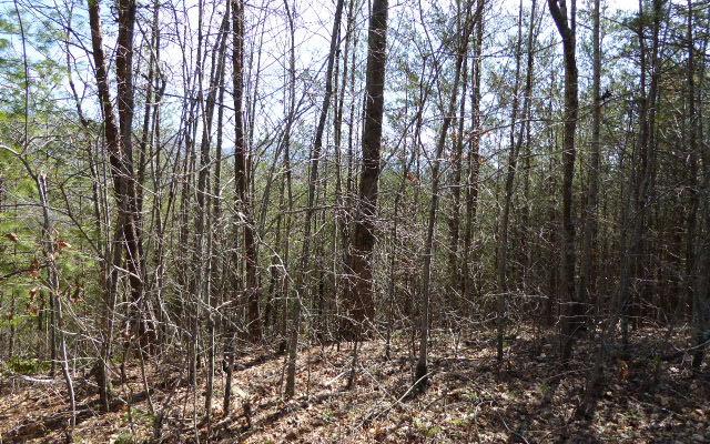 LT 67 Pinecrest - Photo 1