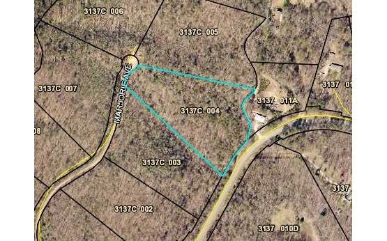 LOT 4 Marjorie Ave - Photo 1