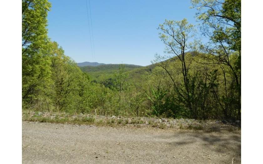 LT 21 Hidden Springs Dr - Photo 1