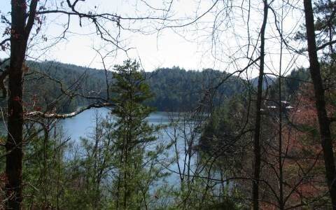 12 Appalachia Cove - Photo 1