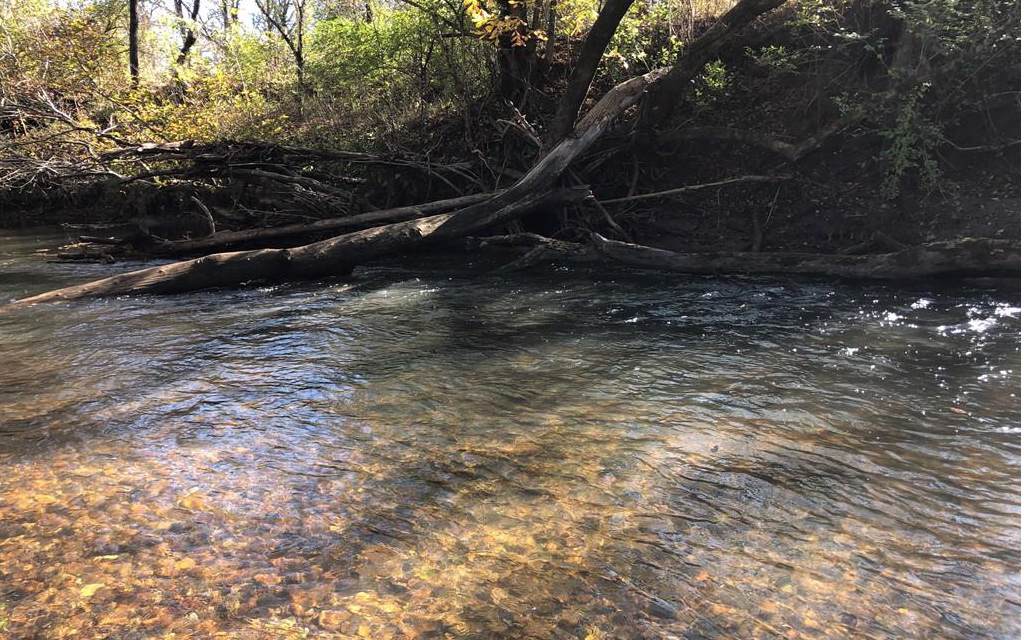 00 Hidden Cove Drive - Photo 1