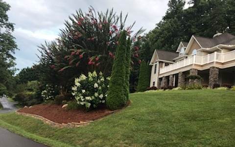 317 Ash Branch Circle - Photo 1