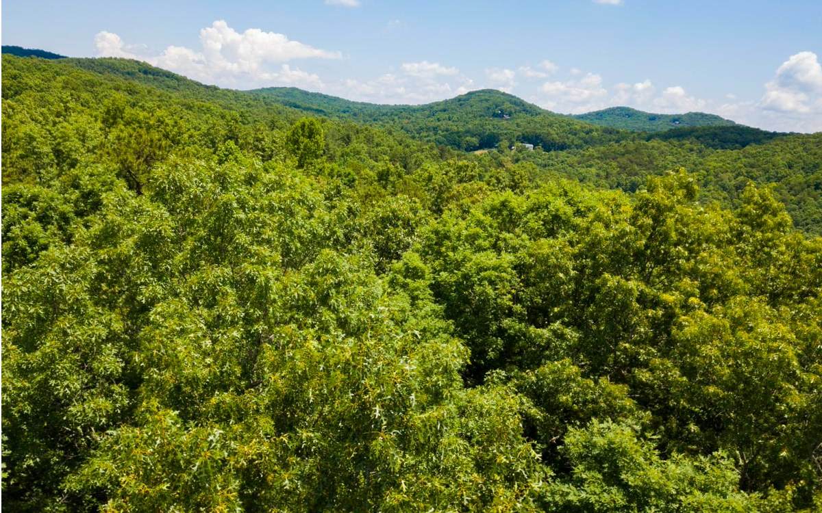 9 AC Victory Ridge Rd - Photo 1