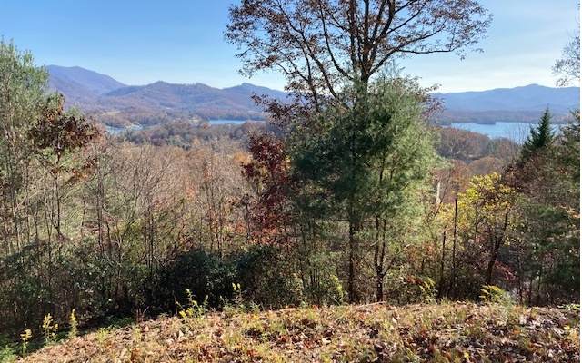 LOT 2 Overlook Drive - Photo 1