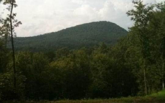 LT7 Bear Mountain Pass - Photo 1