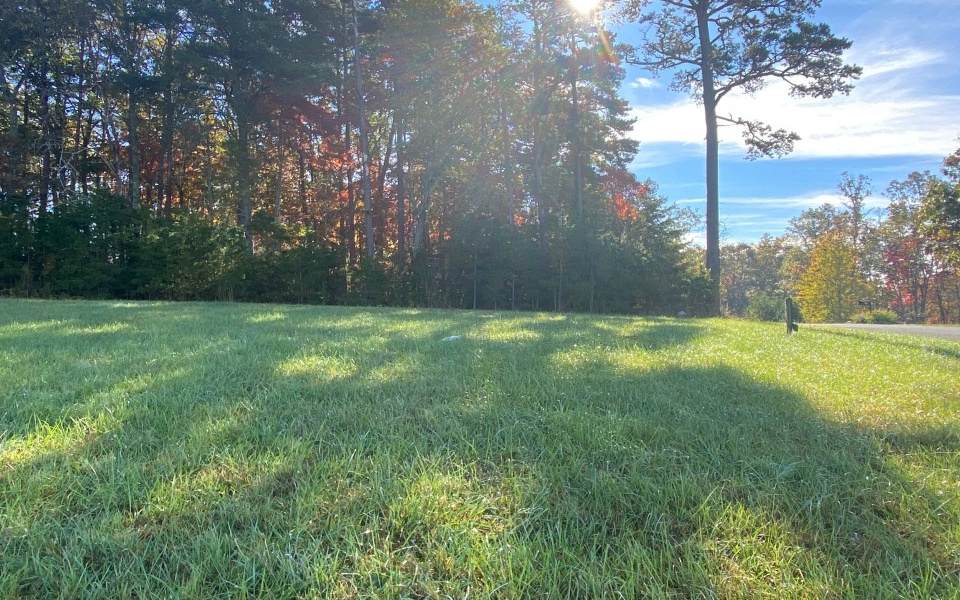LT 40 Fox Lake - Photo 1