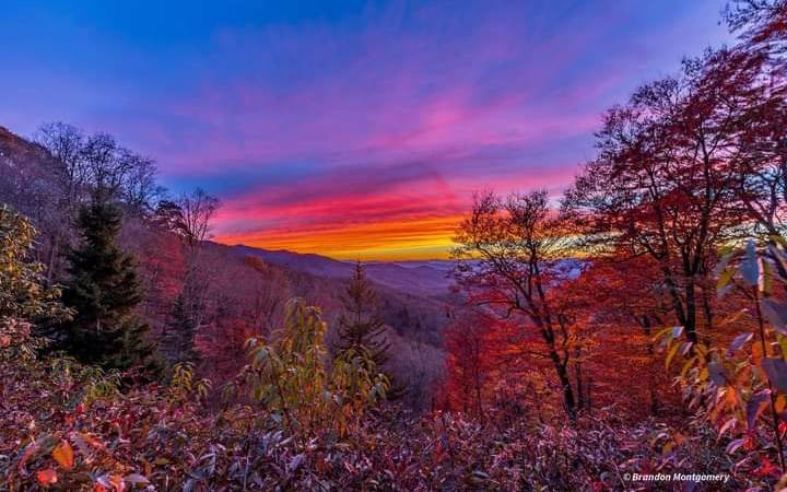 0 Chestnut Mountain Ro - Photo 1