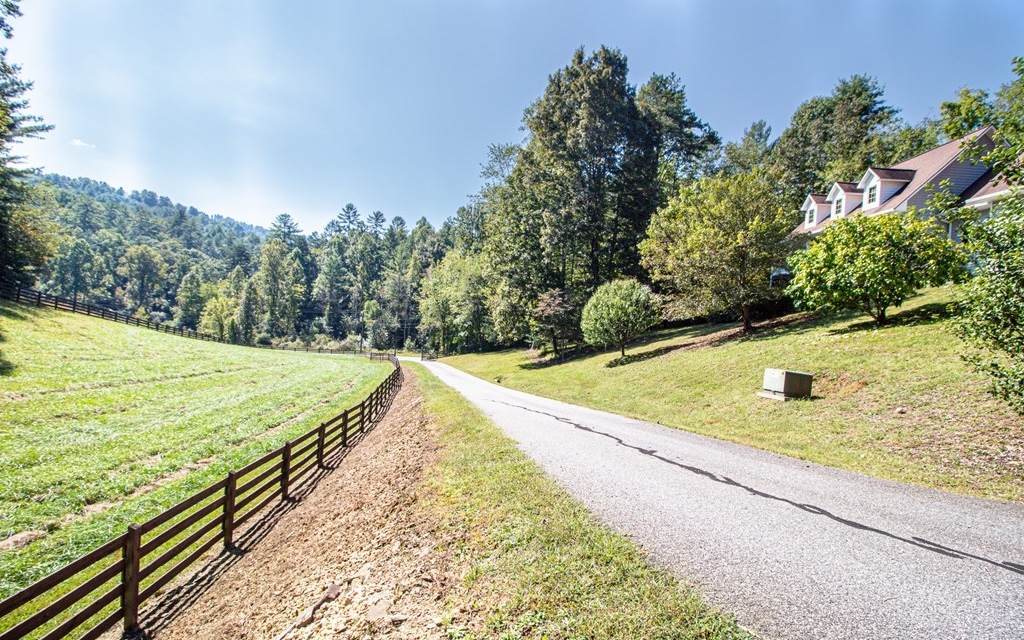 6078 Martinã¢Â‚¬Â„¢S Creek Road - Photo 1