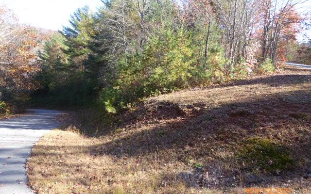 2401 Big Cove Drive - Photo 1