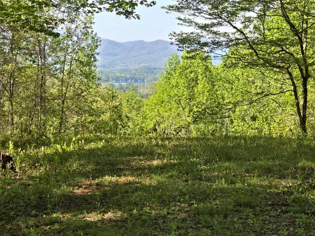 https://bt-photos.global.ssl.fastly.net/negeorgia/orig_boomver_2_403450-2.jpg