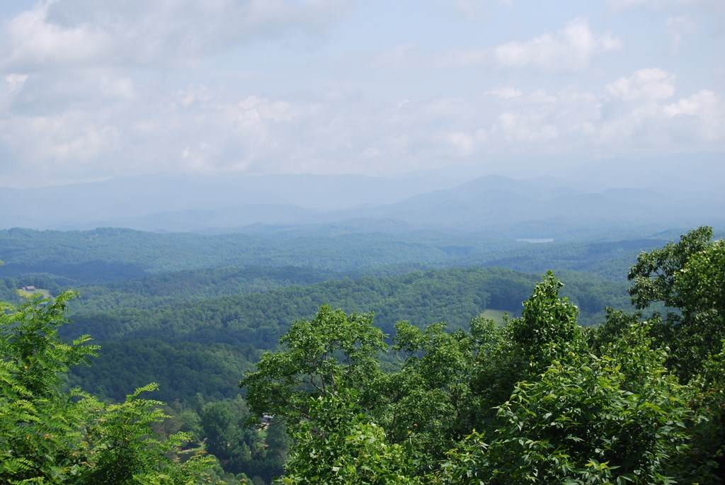 https://bt-photos.global.ssl.fastly.net/negeorgia/orig_boomver_2_413938-2.jpg