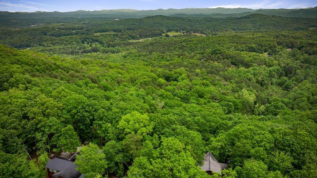 15.67Acs Piney Acres Road - Photo 1