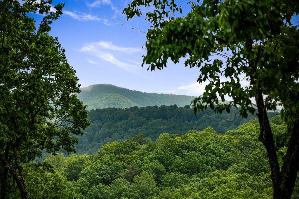 947 Mountain Oak Road - Photo 1