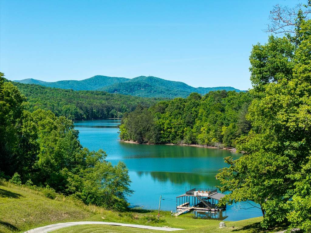 https://bt-photos.global.ssl.fastly.net/negeorgia/orig_boomver_2_418957-2.jpg