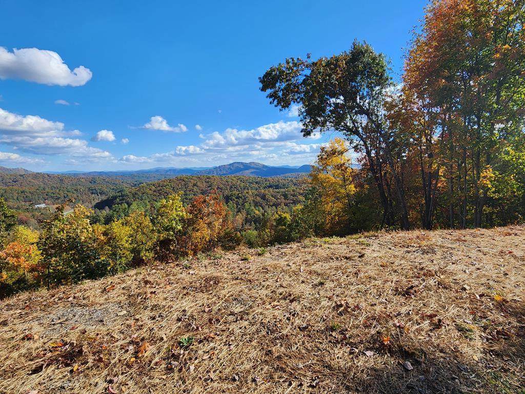 674 Warbler Road - Photo 1
