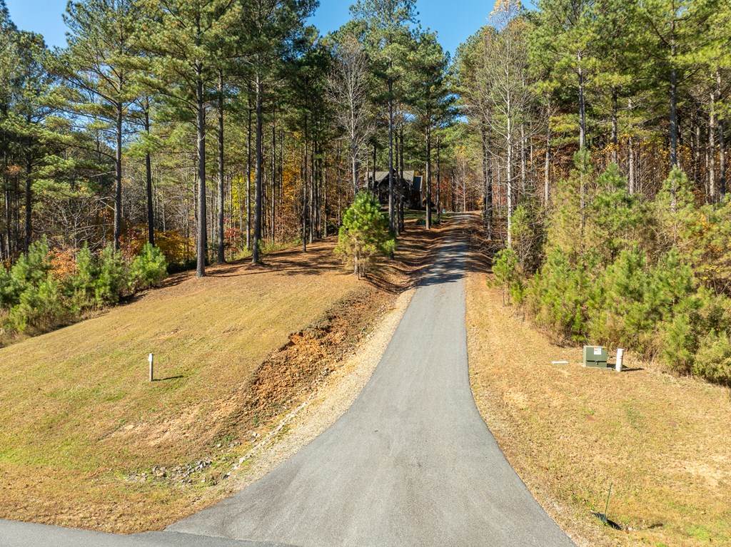 https://bt-photos.global.ssl.fastly.net/negeorgia/orig_boomver_2_420146-2.jpg