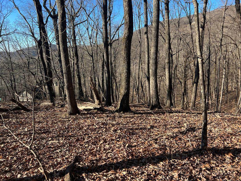 245 Sassafras Mountain Trail - Photo 1