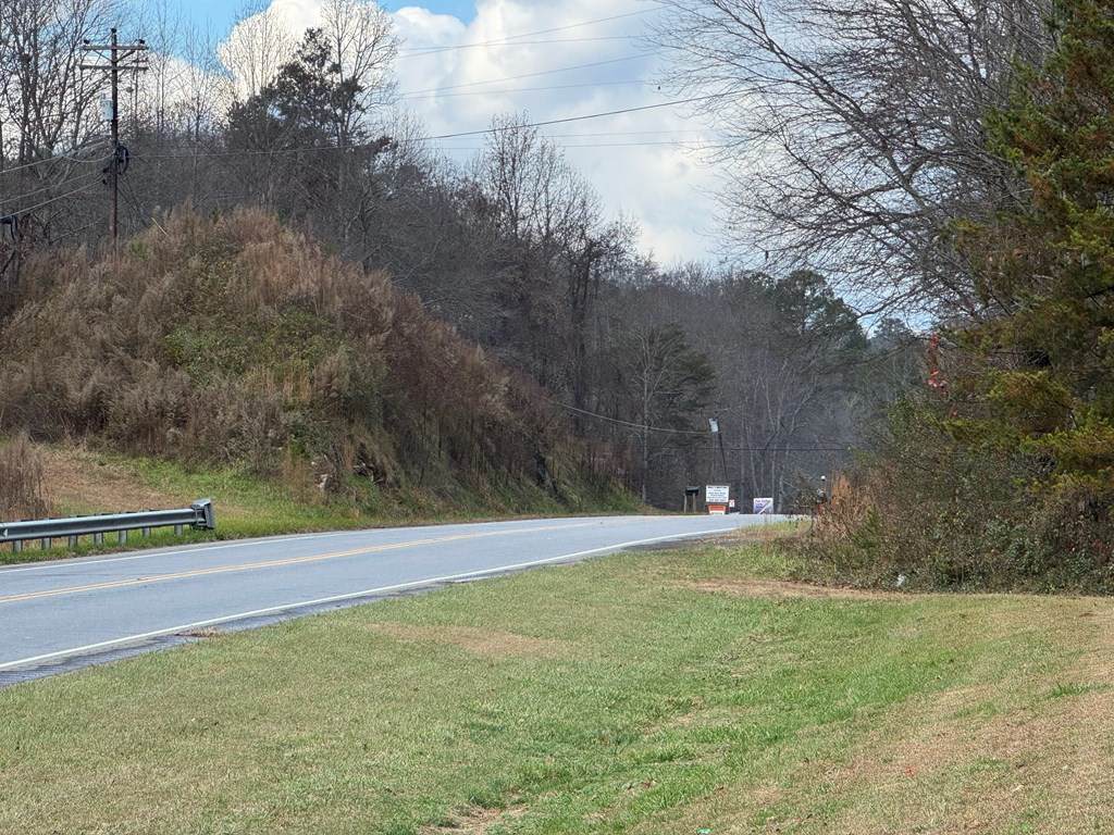 https://bt-photos.global.ssl.fastly.net/negeorgia/orig_boomver_2_428470-2.jpg