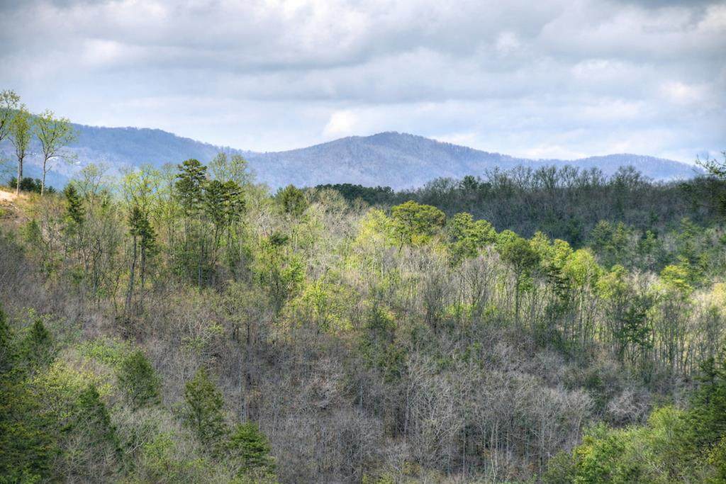 https://bt-photos.global.ssl.fastly.net/negeorgia/orig_boomver_2_428504-2.jpg