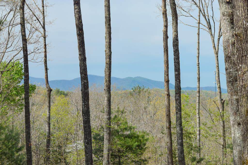 https://bt-photos.global.ssl.fastly.net/negeorgia/orig_boomver_2_429264-2.jpg