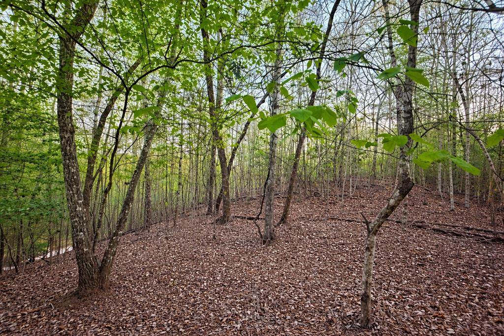 Lot 5 Riverbend Manor - Photo 1