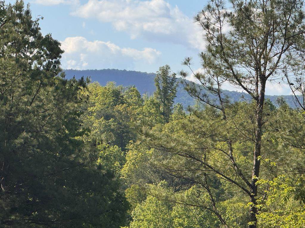 Lot 2 Grassy Creek Road - Photo 1