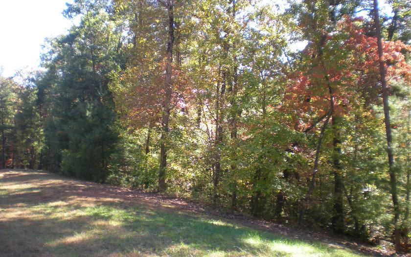 LOT19 Frances Drive - Photo 1