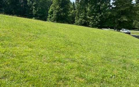 Deerbrook Drive - Photo 1