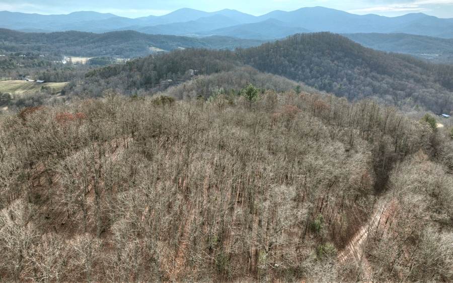 LT 2A Crabapple Road - Photo 1