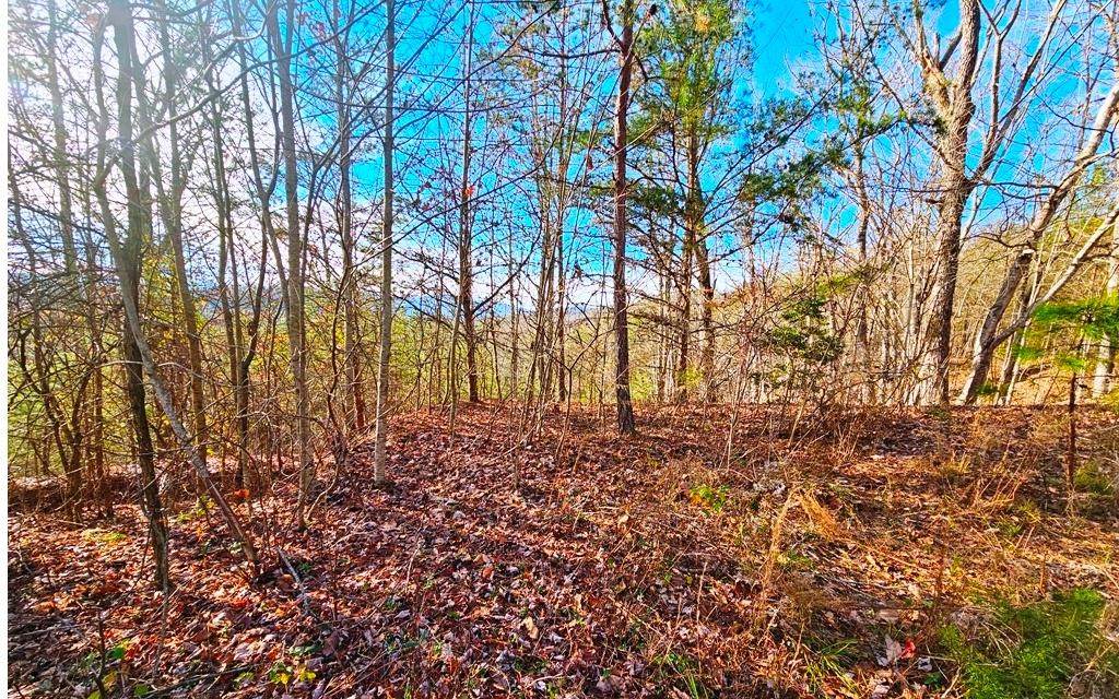 Lot 80 Graystone Drive - Photo 1