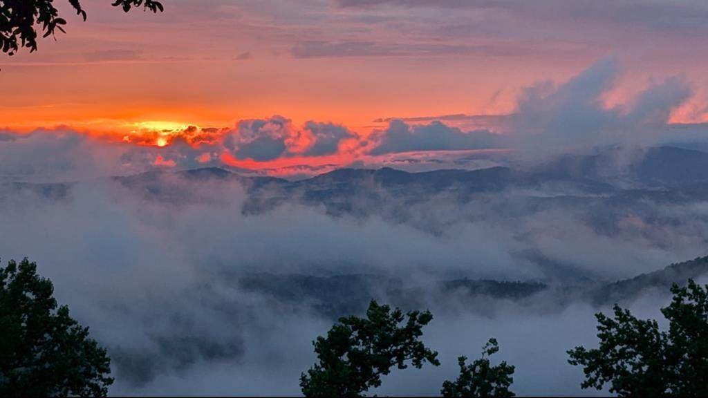 1665 Walnut Ridge - Photo 1