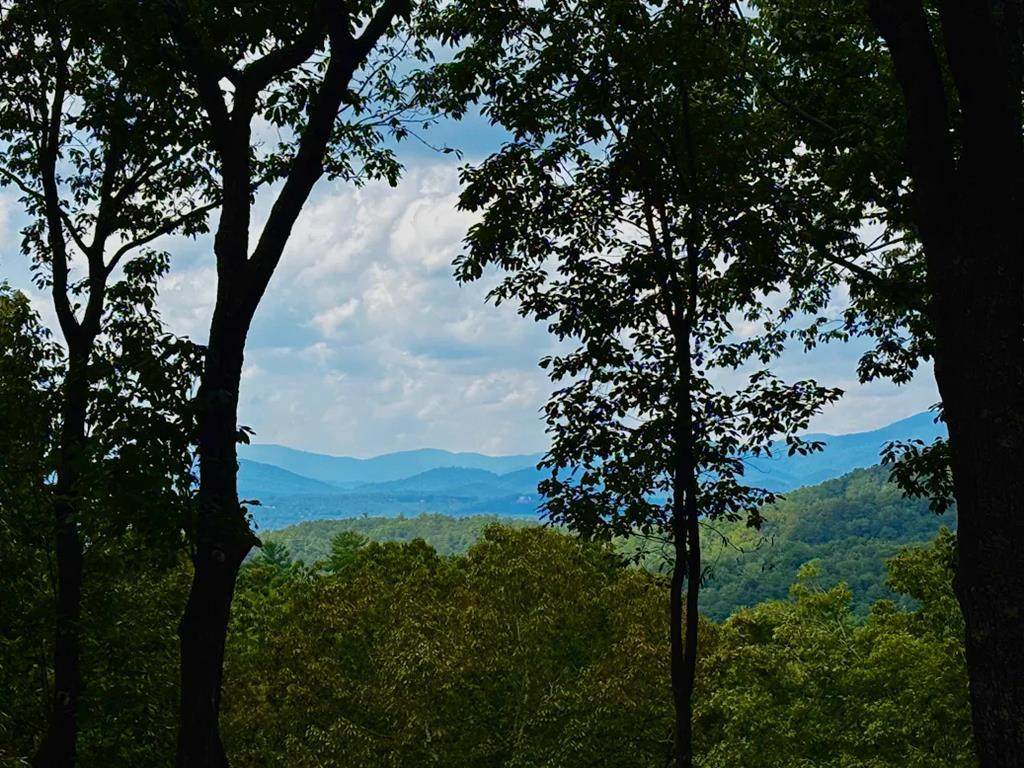 133 Pine Ridge Road - Photo 1