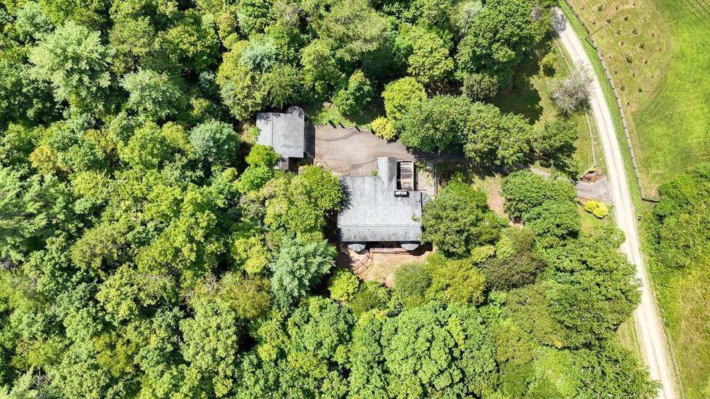 1048 Hawks Claw Road - Photo 1